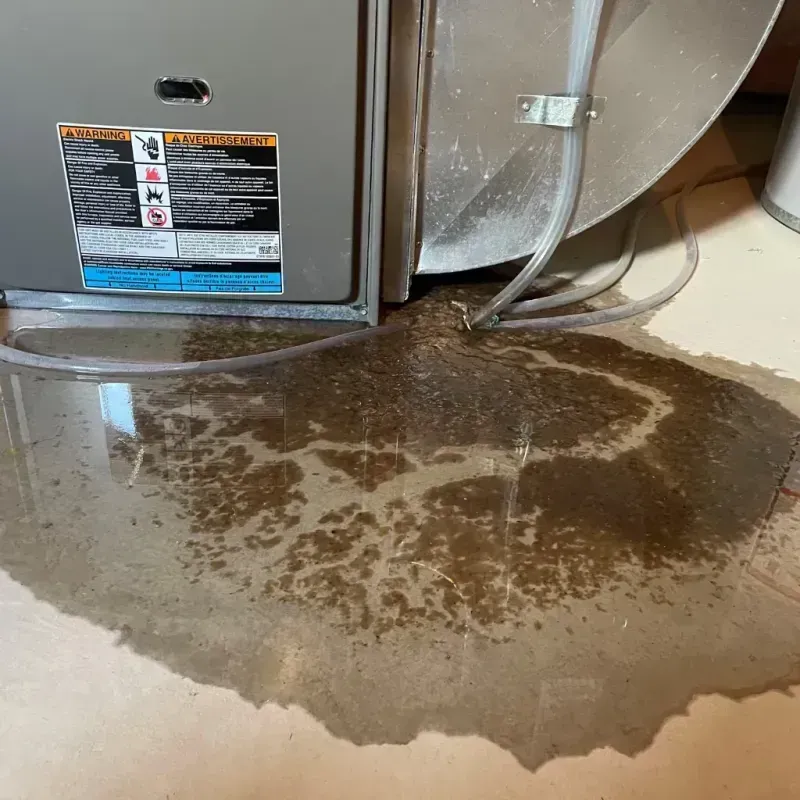 Appliance Leak Cleanup in Randolph, UT